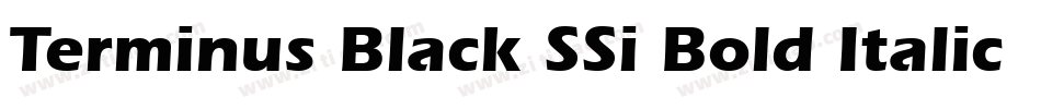 Terminus Black SSi Bold Italic字体转换